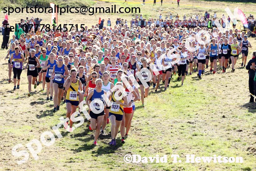 Senior womens 2019 Start Fitness Harrier League, Wrekenton, Gateshead. Photo: David T. Hewitson/Sports for All Pics